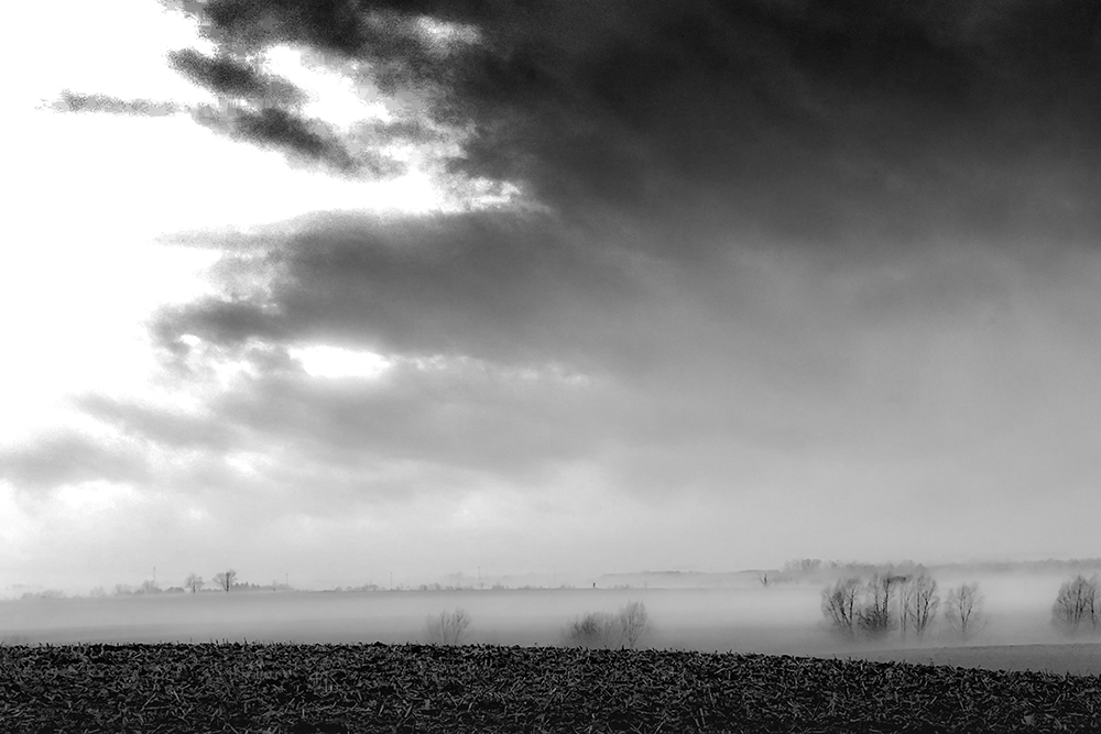 Fog rolling in over a field with dark grey clouds overhead