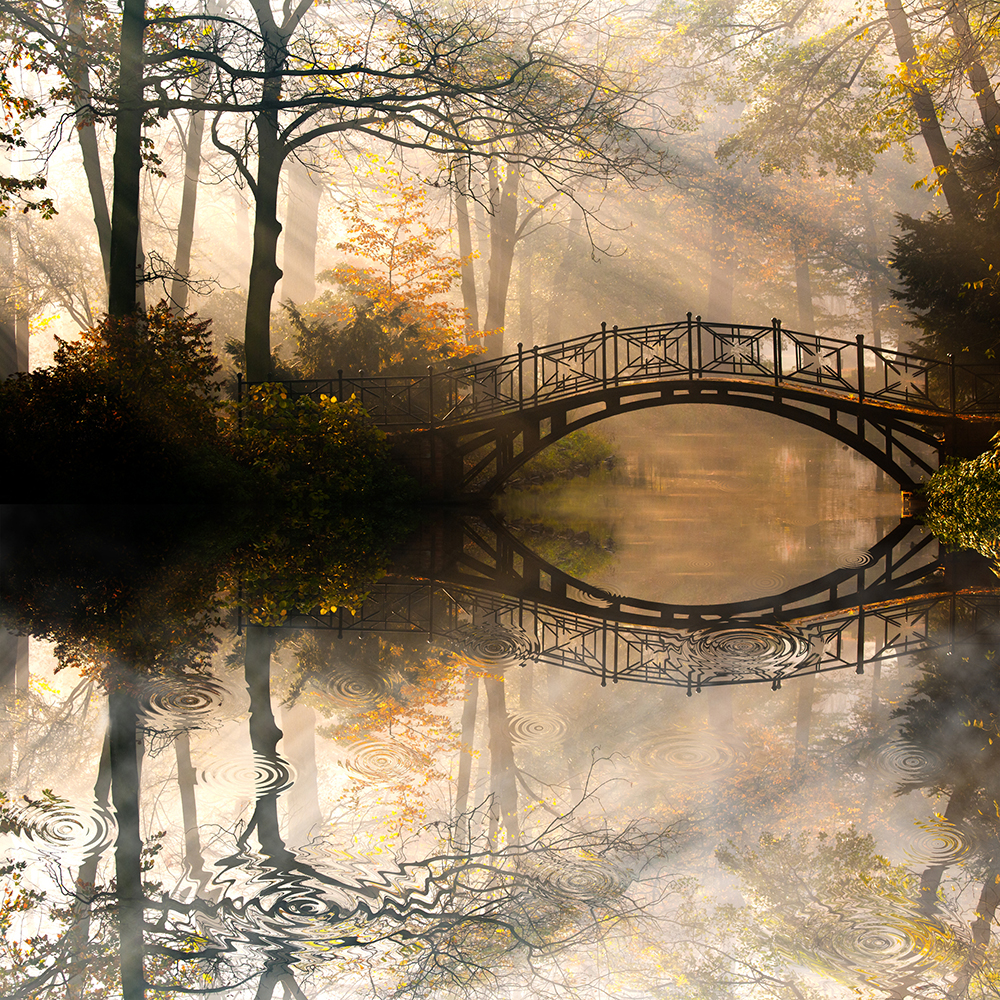 Bridge over water casting a reflection